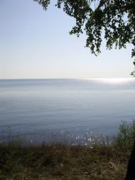 Толокунь з panoramio.com