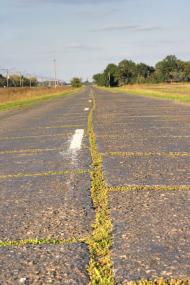 Пичугине з panoramio.com