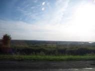 Ройове з panoramio.com