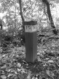 Дзензелівка з panoramio.com