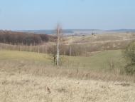 Зелений Гай з panoramio.com