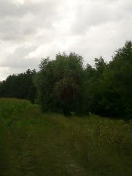 Карапиші з panoramio.com