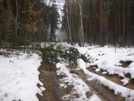 Зазим'я з panoramio.com