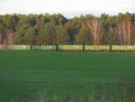 Мощена з panoramio.com