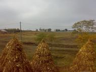 Негринці з panoramio.com