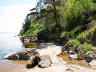 Луковиця з panoramio.com