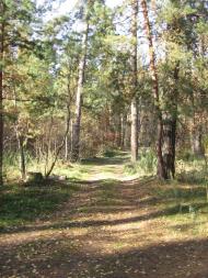 Зазим'я з panoramio.com