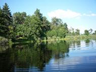 Бучин з panoramio.com