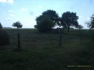 Вихвостів з panoramio.com