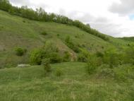 Борсуки з panoramio.com