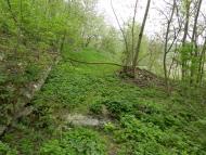 Борсуки з panoramio.com