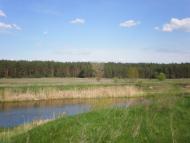 Феневичі з panoramio.com