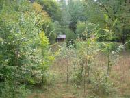 Яблунів з panoramio.com