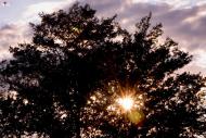 Раухівка з panoramio.com