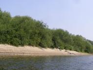 Манухівка з panoramio.com