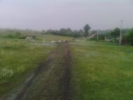 Малахове - Останні фото