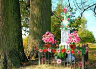 Липовець з panoramio.com