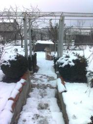 Олександрівка з panoramio.com