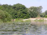 Манухівка з panoramio.com