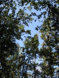 Заострів з panoramio.com