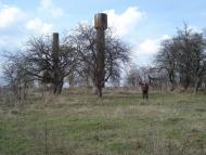 Любимівка з panoramio.com