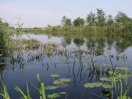 Бучин з panoramio.com