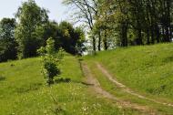 Коржівка з panoramio.com