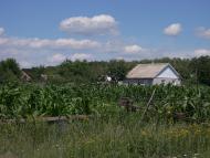 Кошари з panoramio.com
