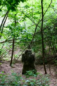 Пшеничники з panoramio.com