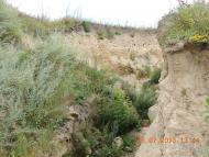 Плешкані з panoramio.com