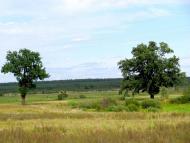 Острівці - Останні фото