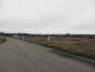 Шевченкове - Останні фото