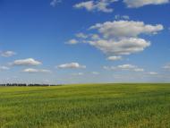 Княжичі з panoramio.com