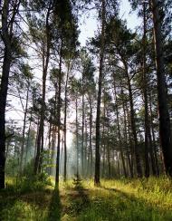 Почапи з panoramio.com