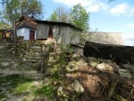 Борсуки з panoramio.com