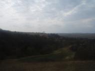 Радиславка з panoramio.com