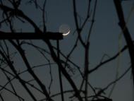 Миролюбівка з panoramio.com