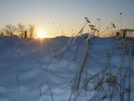 Розівка з panoramio.com