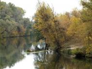 Букине з panoramio.com - Букине