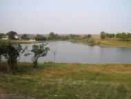 Прямобалка з panoramio.com