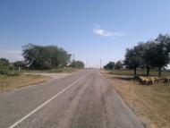 Батальне з panoramio.com