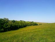 Тарноруда з panoramio.com