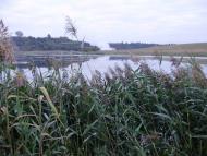 Городище з panoramio.com