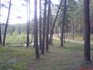 Варварівка з panoramio.com