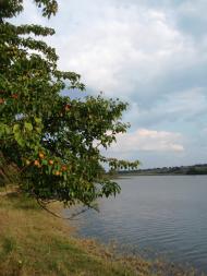 Басань з panoramio.com