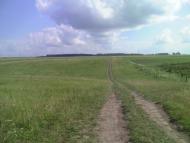 Темногайці з panoramio.com