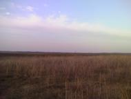 Темногайці з panoramio.com