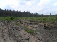 Гончарівське з panoramio.com