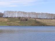 Підліснівка з panoramio.com