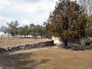 Миролюбівка з panoramio.com